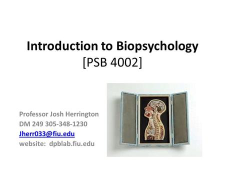 Introduction to Biopsychology [PSB 4002] Professor Josh Herrington DM 249 305-348-1230 website: dpblab.fiu.edu.