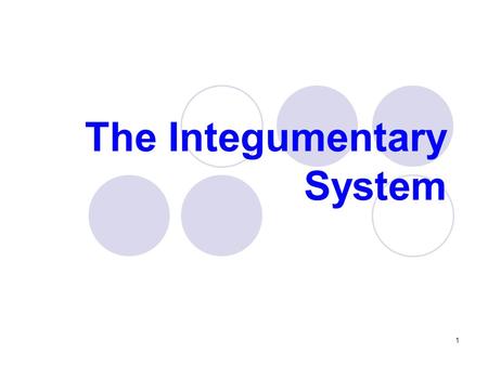 The Integumentary System 1. Protection Excretion Temperature maintenance Insulation and cushion Vitamin D3 synthesis Sensory detection Integumentary system.