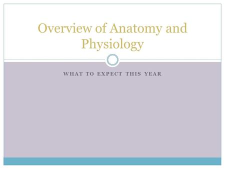 Overview of Anatomy and Physiology