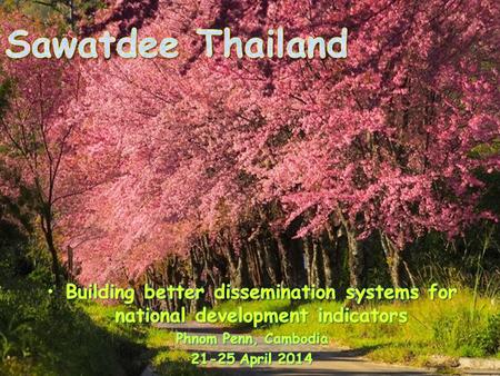 Building better dissemination systems for national development indicators Project on National Development Indicator Objectives.