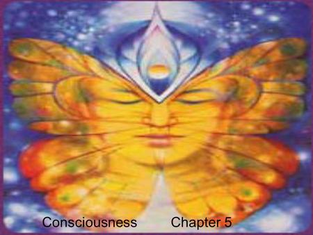 Consciousness Chapter 5