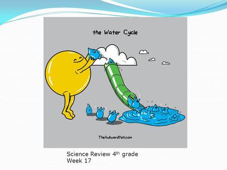 Science Review 4th grade