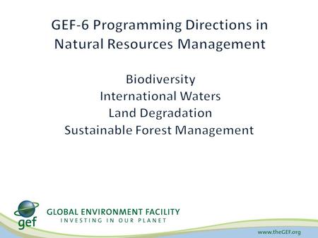 Biodiversity Land Degradation Climate Change Chemicals International Waters Sustainable Forest Management Sustainable Cities Food Security Fisheries Forests.