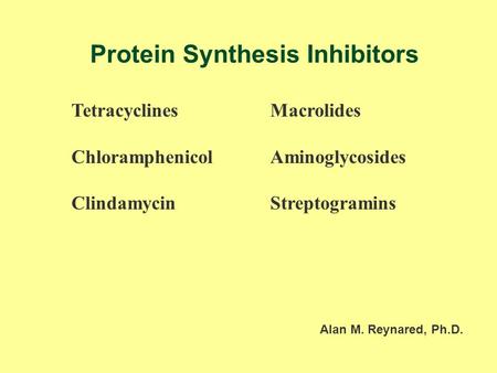 Protein Synthesis Inhibitors