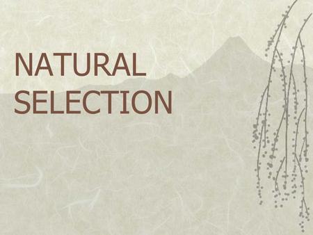 NATURAL SELECTION. EVOLUTION the mechanism of evolution  organisms that are better suited to survive in a given environment are more likely to survive.