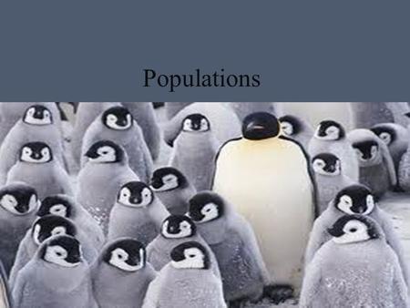 Populations.