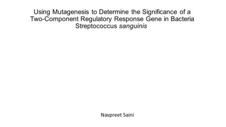 Using Mutagenesis to Determine the Significance of a Two-Component Regulatory Response Gene in Bacteria Streptococcus sanguinis Navpreet Saini.