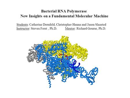 Bacterial RNA Polymerase New Insights on a Fundamental Molecular Machine Students: Catherine Dornfeld, Christopher Hanna and Jason Slaasted Instructor: