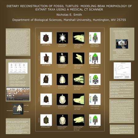 DIETARY RECONSTRUCTION OF FOSSIL TURTLES: MODELING BEAK MORPHOLOGY OF EXTANT TAXA USING A MEDICAL CT SCANNER Nicholas E. Smith Department of Biological.