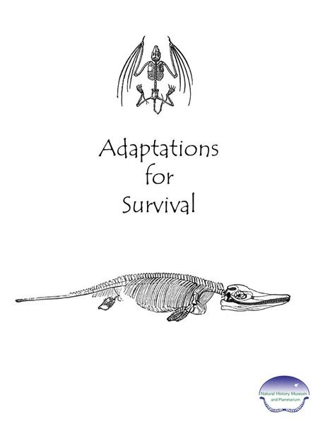 Adaptations for Survival. OBJECTIVE: Students will learn about animals and their adaptations to changing environments through geologic time. using the.