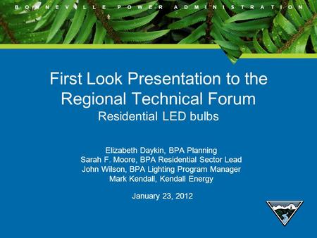 B O N N E V I L L E P O W E R A D M I N I S T R A T I O N First Look Presentation to the Regional Technical Forum Residential LED bulbs Elizabeth Daykin,