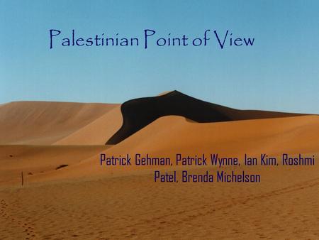 Palestinian Point of View Patrick Gehman, Patrick Wynne, Ian Kim, Roshmi Patel, Brenda Michelson.