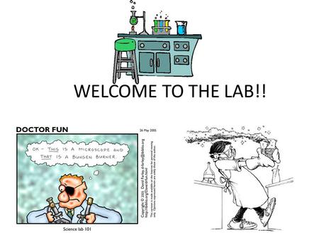 WELCOME TO THE LAB!!. INFORMATION Go over Syllabus (brief) Go over MICROWORLDS (brief) – Two entries due by end of 2 nd lab (week 2). – Two entries due.