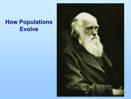 How Populations Evolve.