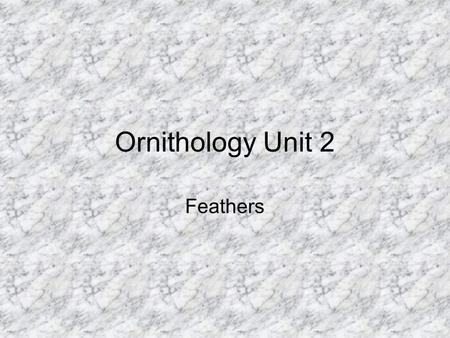 Ornithology Unit 2 Feathers. Feathers are unique structures made of a protein called keratin’ The keratin is different from that found in the scales of.