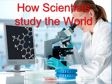 How Scientists study the World. Making observations Turning an observation into a testable question Literature searches Turning a question into a hypothesis.