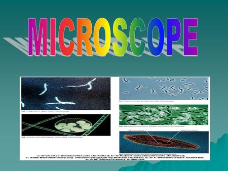 Compound Microscope How to properly carry the microscope Two-dimensional images View internal structures.