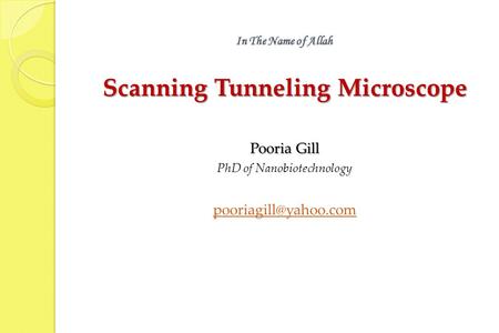 Scanning Tunneling Microscope