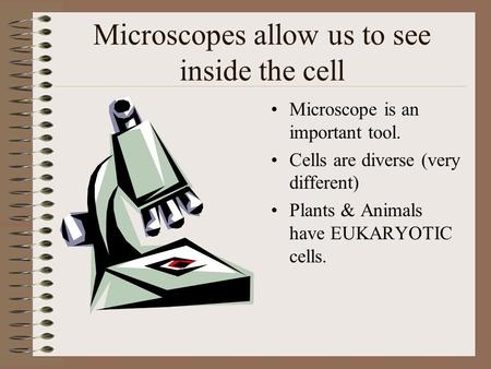 Microscopes allow us to see inside the cell