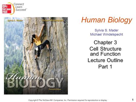 Human Biology Sylvia S. Mader Michael Windelspecht