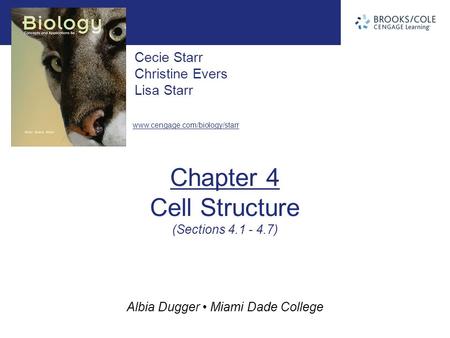 Albia Dugger Miami Dade College Cecie Starr Christine Evers Lisa Starr www.cengage.com/biology/starr Chapter 4 Cell Structure (Sections 4.1 - 4.7)