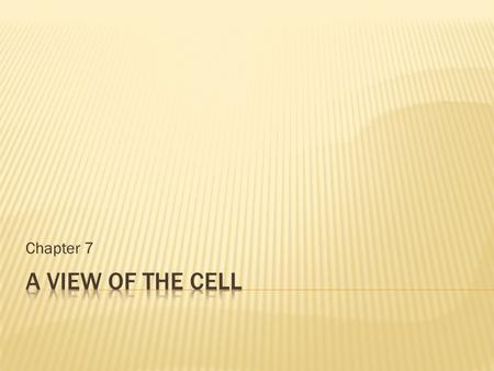 Chapter 7 A View of the cell.