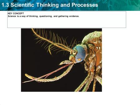 KEY CONCEPT Science is a way of thinking, questioning, and gathering evidence.