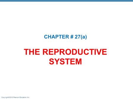 THE REPRODUCTIVE SYSTEM