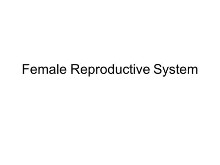 Female Reproductive System