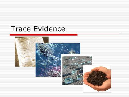 Trace Evidence.