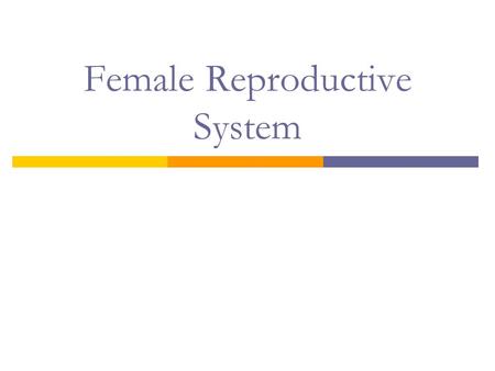 Female Reproductive System