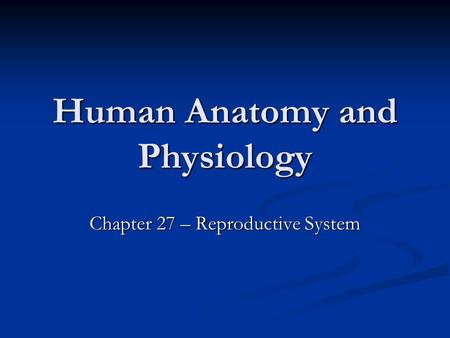 Human Anatomy and Physiology