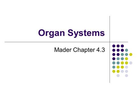 Organ Systems Mader Chapter 4.3. A. Organ Systems: Integumentary System—largest single organ of the body that has a protective function, synthesizes vitamin.