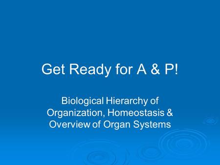 Get Ready for A & P! Biological Hierarchy of Organization, Homeostasis & Overview of Organ Systems.