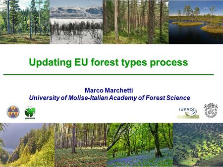 Updating EU forest types process Marco Marchetti University of Molise-Italian Academy of Forest Science.