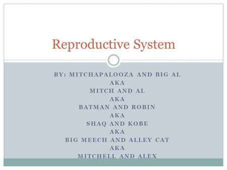 BY: MITCHAPALOOZA AND BIG AL AKA MITCH AND AL AKA BATMAN AND ROBIN AKA SHAQ AND KOBE AKA BIG MEECH AND ALLEY CAT AKA MITCHELL AND ALEX Reproductive System.