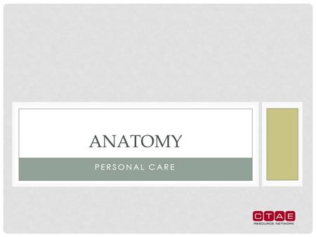 PERSONAL CARE ANATOMY ORGANISM COMPLEXITY SYSTEMS OF THE BODY Circulatory System Nervous system Reproductive System Endocrine System Lymphatic and Immune.