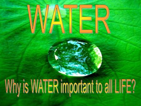 Did You Know… Three-fourths of the earth’s surface is covered with water? The earth is a closed system:The same water that existed on the earth millions.