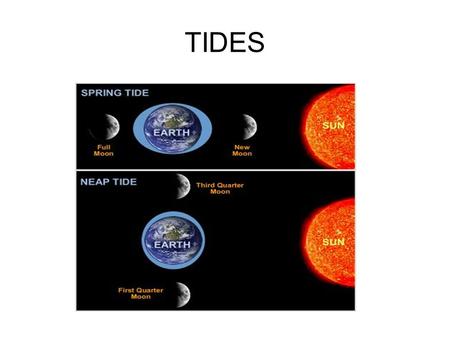 TIDES.