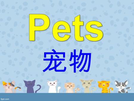 宠物. What pets do you know? 你知道什么宠物 ? What are they like? 他们是怎么样 ?