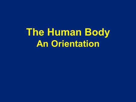 The Human Body An Orientation