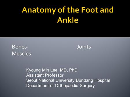 Anatomy of the Foot and Ankle