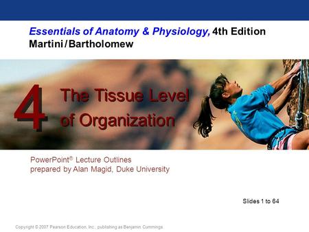 Essentials of Anatomy & Physiology, 4th Edition Martini / Bartholomew PowerPoint ® Lecture Outlines prepared by Alan Magid, Duke University The Tissue.