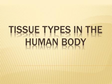  Tissues are groups of cells with a common structure (form) and function (job).  Four Main Tissues in the Body:  Epithelium  Connective tissue  Nervous.