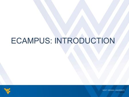 WEST VIRGINIA UNIVERSITY ITS Training ECAMPUS: INTRODUCTION.