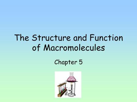 The Structure and Function of Macromolecules