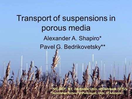 1 Transport of suspensions in porous media Alexander A. Shapiro* Pavel G. Bedrikovetsky** * IVC-SEP, KT, Technical Univ. of Denmark (DTU) ** Australian.