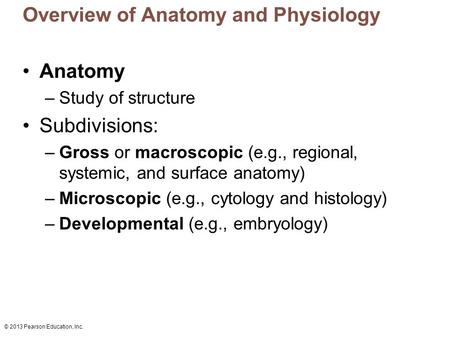 Overview of Anatomy and Physiology