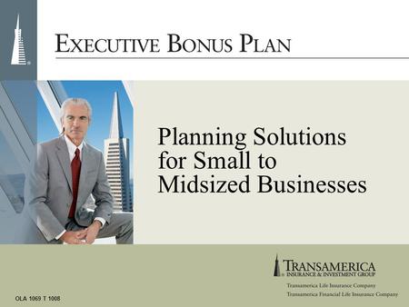 OLA 1069 T 1008 Planning Solutions for Small to Midsized Businesses.