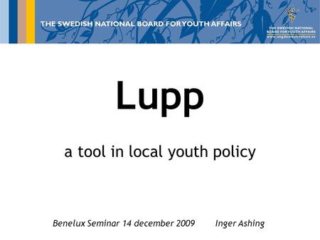 LUPP 2007 Lupp a tool in local youth policy Benelux Seminar 14 december 2009 Inger Ashing.